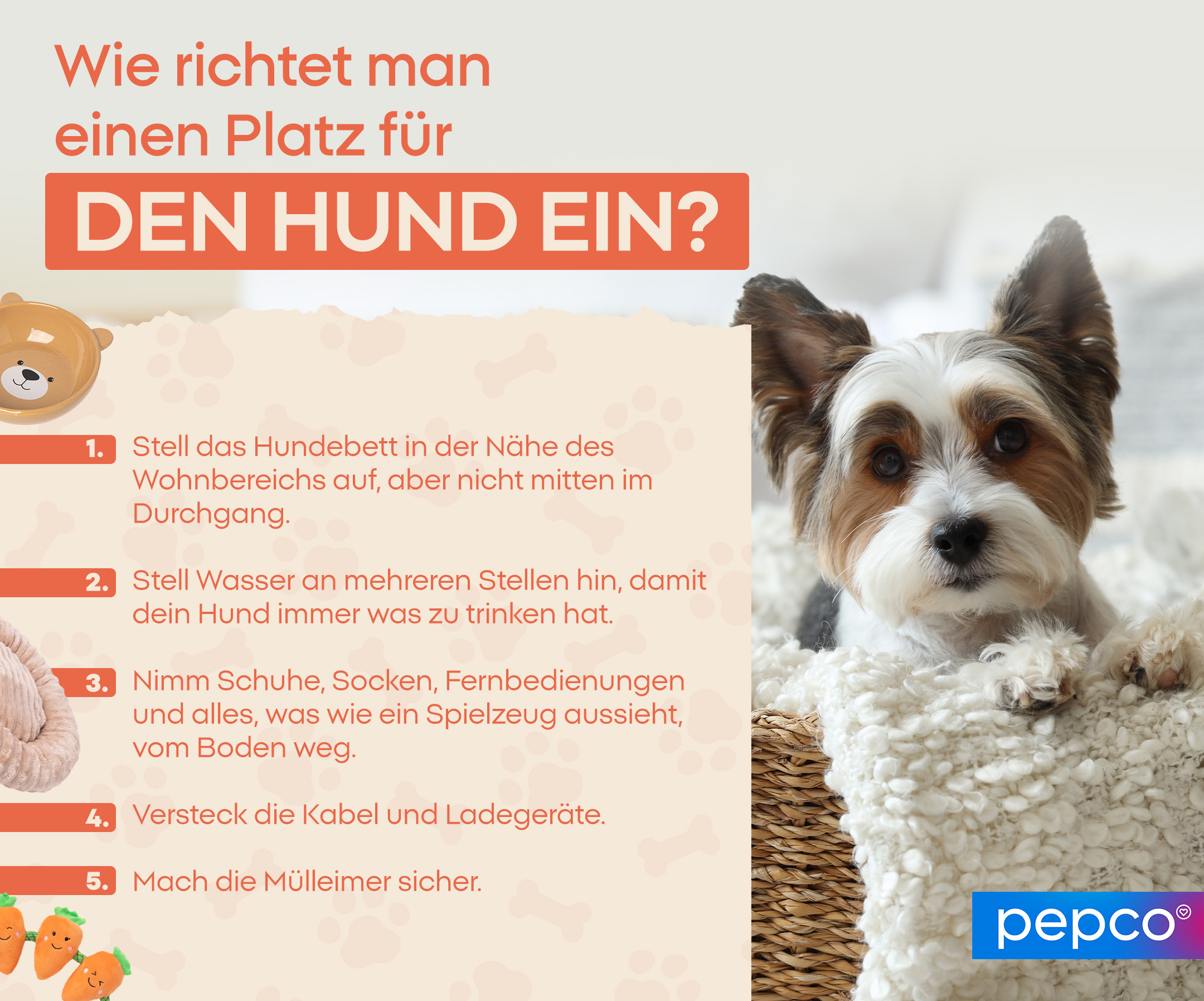 Wie richtet man einen Platz für den Hund ein? 